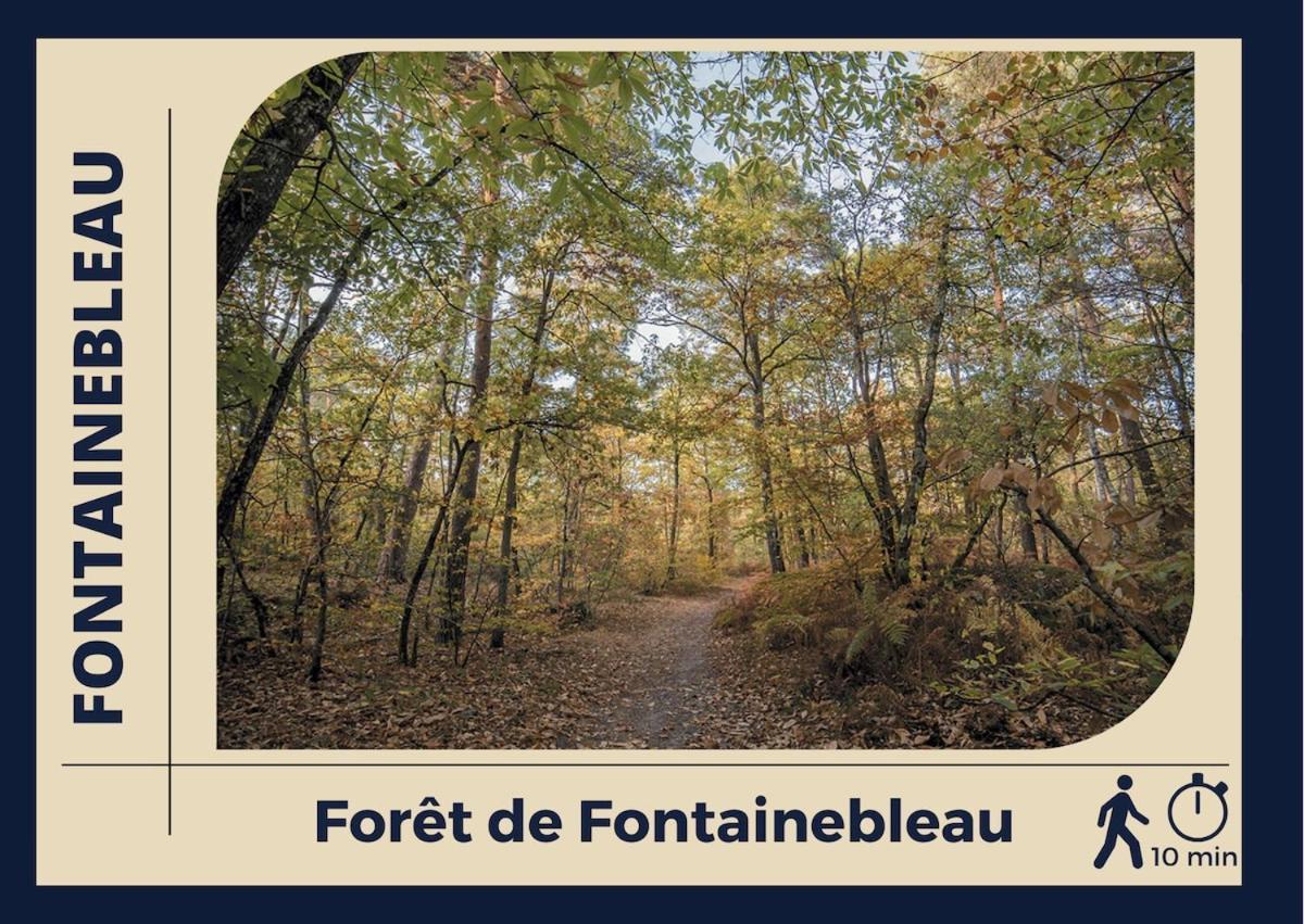 Le Logis De - Confort - Centre Fontainebleau